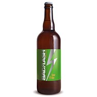 Brewery Bad Flash Mango & Chilli 12° Sour Ale 0,75l - Beer