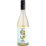 Svachovka Gin & Tonic 0,75l 7,2% - Mixed Drink