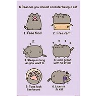 Pusheen: 6 Reasons Why To Be Cat - Poster