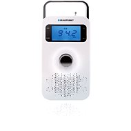  BLAUPUNKT PP 10WH  - Speaker