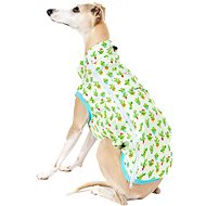 Softshell Cacti - Greyhound - Dog Clothes