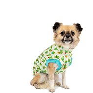 Softshell Cacti - Dachshund - Dog Clothes