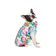 Softshell Kititi mititi - Bull breed, M - Dog Clothes