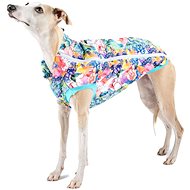 Softshell Kititi mititi - Greyhound - Dog Clothes