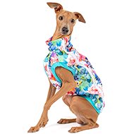 Softshell Kititi mititi - Medium male - Dog Clothes