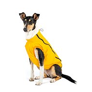 Softshell Pooh - Dachshund - Dog Clothes
