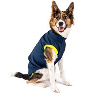 Softshell I'm shining - Dachshund - Dog Clothes