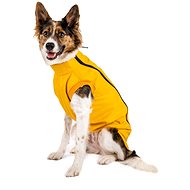 Winter jacket Pooh extended - Dachshund - Dog Clothes