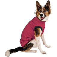 Mantys Winter jacket Vine - Bull breed, S - Dog Clothes