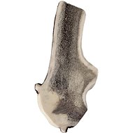 Rogy Deer antler in gift box M - Fallow Antler Dog Chew