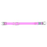 Ferribiella Teflon collar pink - Dog Collar
