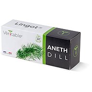 Véritable Lingot Dill - BIO - Seedling Planter