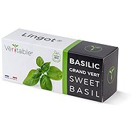 Véritable Lingot Sweet Basil - Organic - Seedling Planter