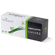Véritable Lingot Chives - Organic - Seedling Planter