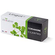 Véritable Lingot Coriander - Seedling Planter