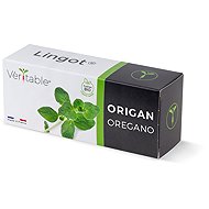 Véritable Lingot Oregano - Organic - Seedling Planter