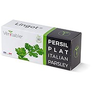 Véritable Lingot Italian parsley - BIO - Seedling Planter