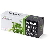 Véritable Lingot Parsley Nuts - Organic - Seedling Planter