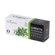 Veritable Lingot Saturejka Wild ORGANIC - Seedling Planter