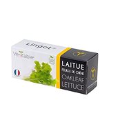 Véritable Lingot Oak Salad Organic - Seedling Planter