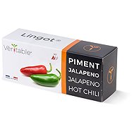Véritable Lingot Jalapeno hot chilli - Seedling Planter