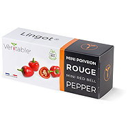 Véritable Lingot Roter Mini-Paprika - BIO - Setzling