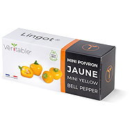 Véritable Lingot Yellow mini paprika - BIO - Seedling Planter