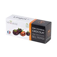 Véritable Lingot Mini Chocolate Pepper Organic - Seedling Planter
