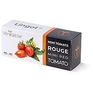 Véritable Lingot Red mini tomato - Seedling Planter