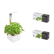 VYRITABLE BOTANEO EYLO - Smart Flower Pot
