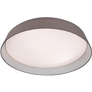 Prezent 45130 - LED Ceiling Light VASCO, 1xLED/24W/230V - Ceiling Light
