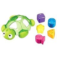 Eingefügt Wasserschildkröte - Lernspielzeug