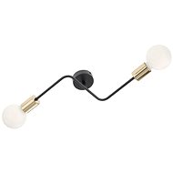 Redo 01-1668 - Ceiling Light YAK, 2xE27/42W/230V - Ceiling Light
