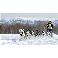 Mushing - vyjížďka se psím spřežením - Voucher: