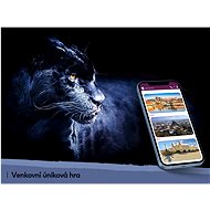 Černý panter v Pardubicích - Střední obtížnost - Voucher: