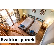 Měření geopatogenních zón - Voucher: