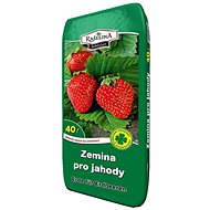 RAŠELINA SOBĚSLAV Soil for strawberries 40l - Substrate