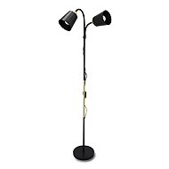 Argus smart LED floor lamp, black, adjustable reading lamp, 2xE27 - Floor Lamp