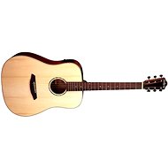 Rathbone R5SME - Acoustic-Electric Guitar