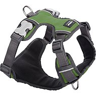Red Dingo harness padded Green 20 mm × 46-63 cm - Harness