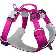 Red Dingo Harness Sport Fuchsia 20 mm × 47-64 cm - Harness