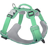 Red Dingo Harness Sport Pastel Green 12 mm × 31-43 cm - Harness