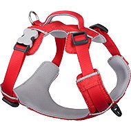 Red Dingo Harness Sport Red 25 mm × 58-81 cm - Harness