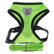 REFLEX Dog collars with leash L - green - Harness