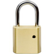 Richter Czech RV.320. L - Padlock