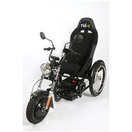 Ride's Basic - Tricycle