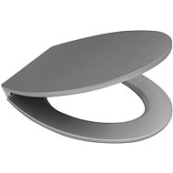 Ridder toilet seat soft close, MDF, silver - Toilet Seat