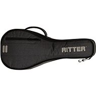 Ritter RGD2-MAR/ANT - String Instrument Case