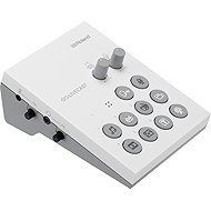 Roland GO: LIVECAST - External Sound Card 