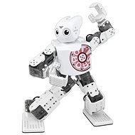 ROBOTIS MINI real humanoid - Roboter